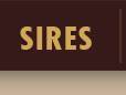 sires